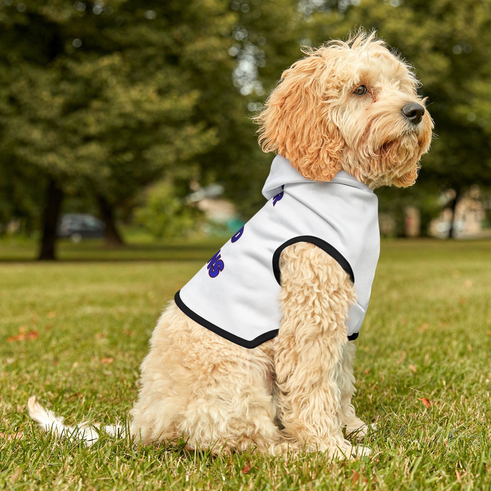 Pet Hoodie — "Lover of Good Humans" Cozy Dog & Cat Hoodie