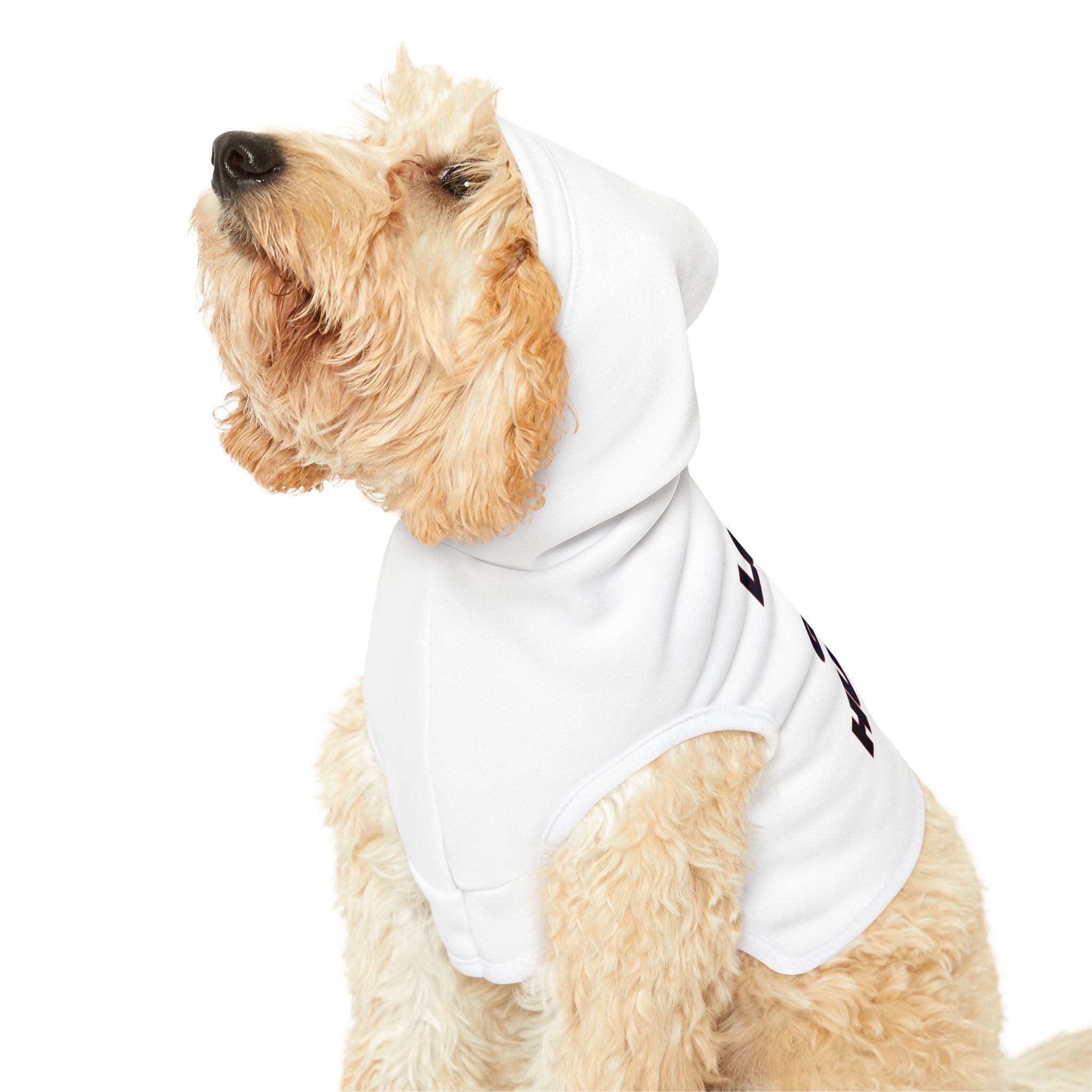 Pet Hoodie — "Lover of Good Humans" Cozy Dog & Cat Hoodie